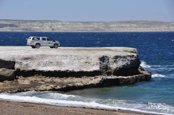 Com a ajuda da Fiona, explorando o litoral sul da Península Valdés, na Argentina, região de Puerto Piramides
